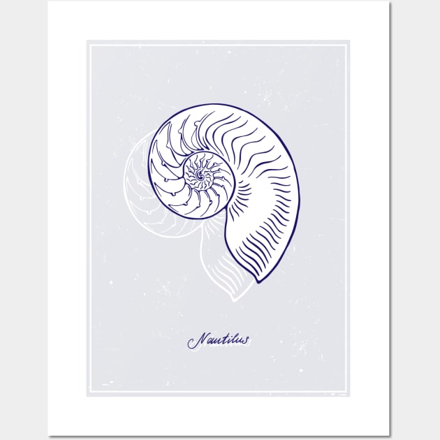 Blue Nautilus Tiger Shell. Realistic sea life drawings. Wall Art by ArchiTania